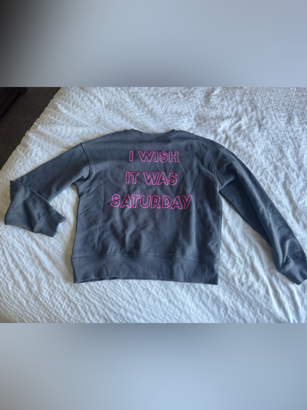 NWOT Wildfox Sweater